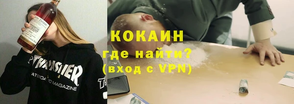 ешки Няндома